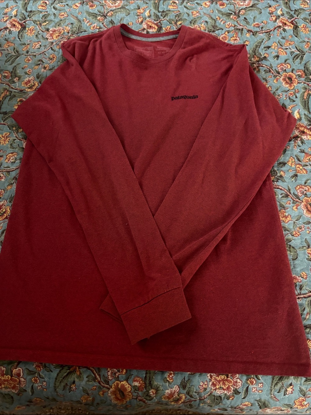 Patagonia Long-Sleeve Crewneck Tee in Deep Red